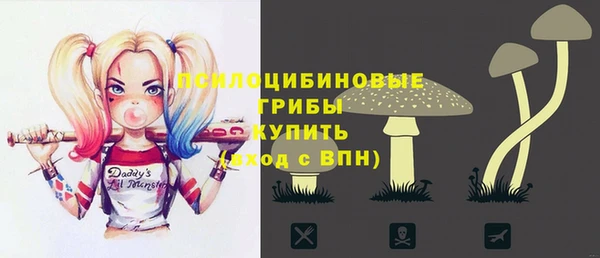 соль курить ск Инсар