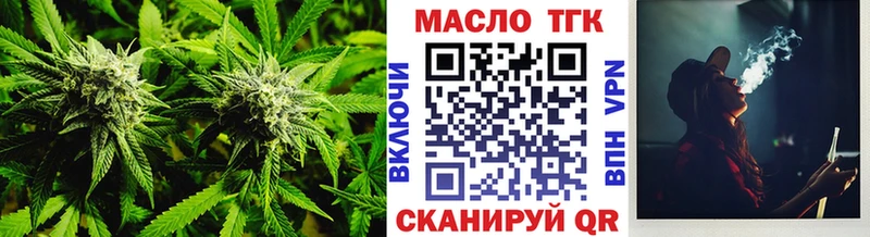 Купить где  Салаир  ТГК концентрат 