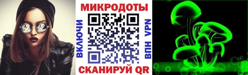 Купить закладки Салаир Галлюциногенные грибы Cubensis
